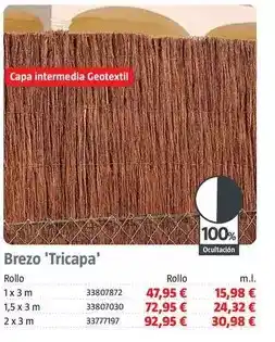 Bauhaus Brezo ' tricapa ' oferta