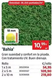 Bauhaus Bahia oferta