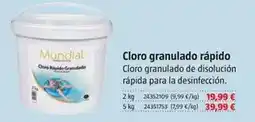 Bauhaus Mundial - cloro granulado rápido oferta