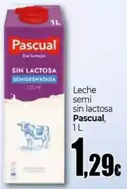 Unide Market Pascual - leche semi sin lactosa oferta