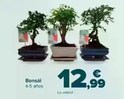 Carrefour Bonsái oferta
