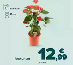 Carrefour Anthurium oferta