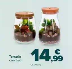 Carrefour Terrario con Led oferta