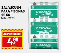 Brico Depôt DESCASAL Sal vacuum para piscinas oferta