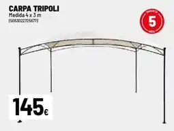 Brico Depôt Carpa tripoli oferta