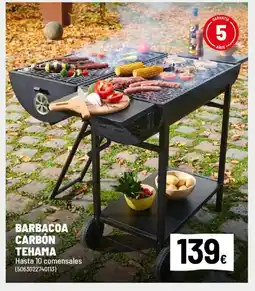 Brico Depôt Barbacoa carbon tehama oferta