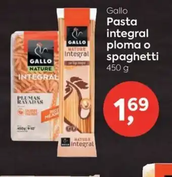Gallo Pasta integral ploma o spaghetti