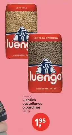 Suma Supermercados Luengo Llenties castellanes o pardines oferta