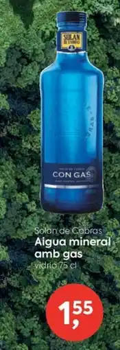 Suma Supermercados Solan de Cabras Aigua mineral amb gas vidrio oferta