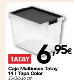 Hiper FROIZ TATAY Caja Multiusos14 | Tapa Color oferta