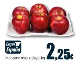 Unide Supermercados Manzana royal gala oferta