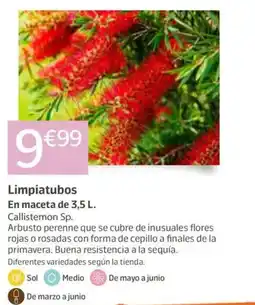 Jardiland Limpiatubos oferta