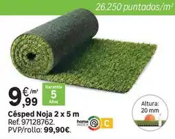 Leroy Merlin Home - cêsped noja 2 x 5 m oferta