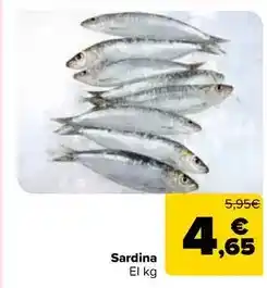 Carrefour Market Sardina oferta