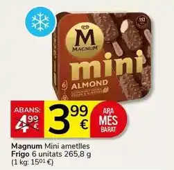 Supermercados Charter Magnum - mini ametlles frigo oferta