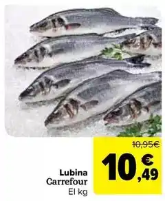 Carrefour Carrefour - lubina oferta
