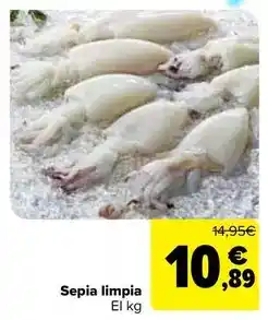 Carrefour Sepia limpia oferta