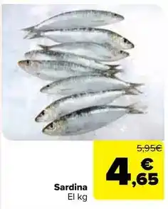 Carrefour Sardina oferta