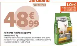 Jardiland Authentiq - alimento perro oferta