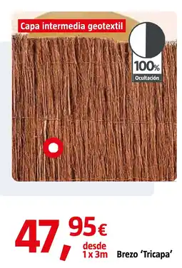 Bauhaus Brezo 'Tricapa' oferta