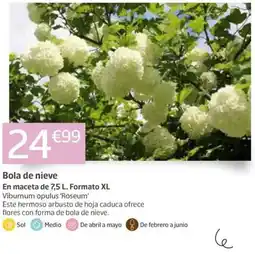 Jardiland Bola de nieve oferta