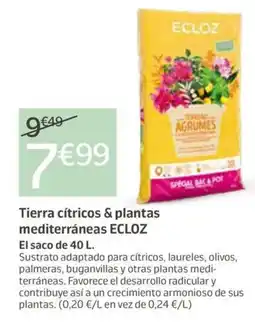 Jardiland ECLOZ Tierra cítricos & plantas mediterráneas oferta