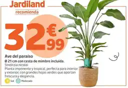 Jardiland Ave del paraíso oferta