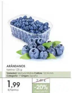 Supermercados Plaza Arándanos oferta