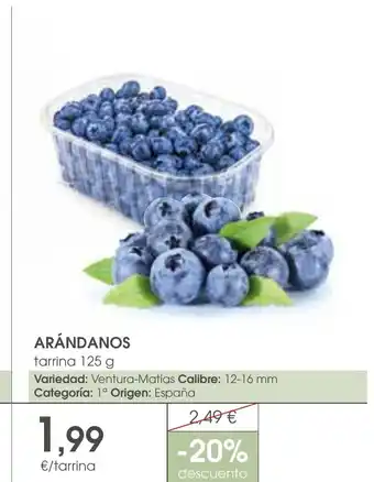 Supermercados Plaza Arándanos oferta