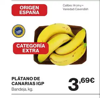 Supercor Plátano de canarias igp oferta