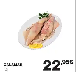 Supercor Calamar oferta