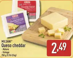 ALDI MILSANI Queso cheddar oferta