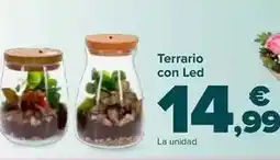 Carrefour Market Terrario con led oferta