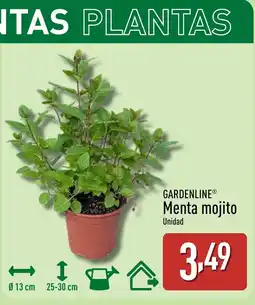 ALDI GARDENLINE Menta mojito oferta
