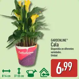ALDI GARDENLINE Cala oferta