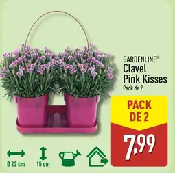 ALDI GARDENLINE Clavel Pink Kisses oferta