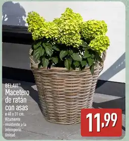 ALDI BELAVI Macetero de ratán con asas oferta