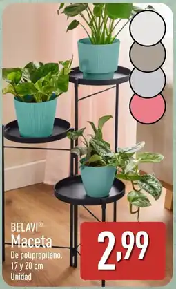ALDI BELAVI Maceta oferta