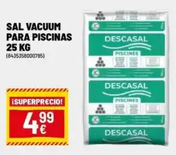 Brico Depôt Sal vacuum para piscinas oferta