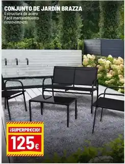 Brico Depôt Estuctura de acero facial manemimiento oferta