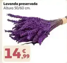 Alcampo Lavanda preservada oferta