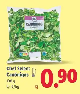Lidl Chef Select Canónigos oferta