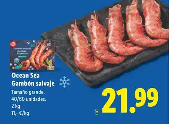 Ocean Sea Gambón salvaje
