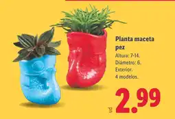 Lidl Planta maceta pez oferta