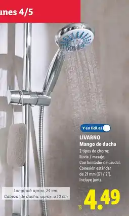 Lidl LIVARNO Mango de ducha oferta