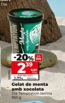 Dia DIA TEMPTATION Gelat de menta amb xocolata oferta