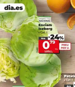 Dia Enciam Iceberg oferta