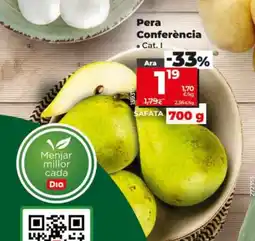 Dia Pera Conferència oferta