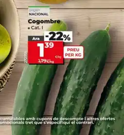 Dia Cogombre oferta