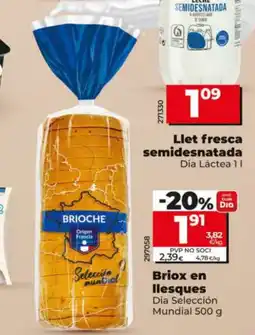 Dia DIA SELECCIÓN MUNDIAL Briox en llesques oferta